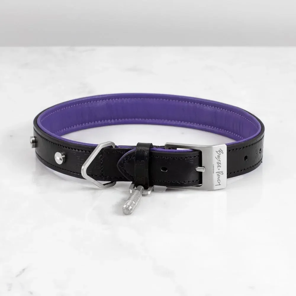 Buster + Punch Dog Collar 22-26” Leather Silver Black and Purple Designer NIB